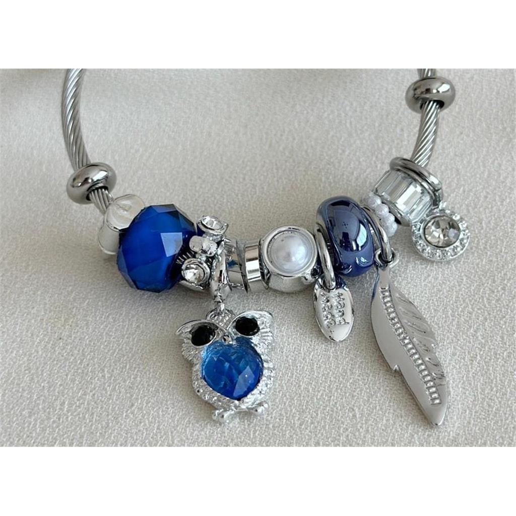 ZeyCan Şık Kadın Gümüş Mavi Baykuş Figürlü Elmas Detaylı Pandora Çelik Charm Bileklik