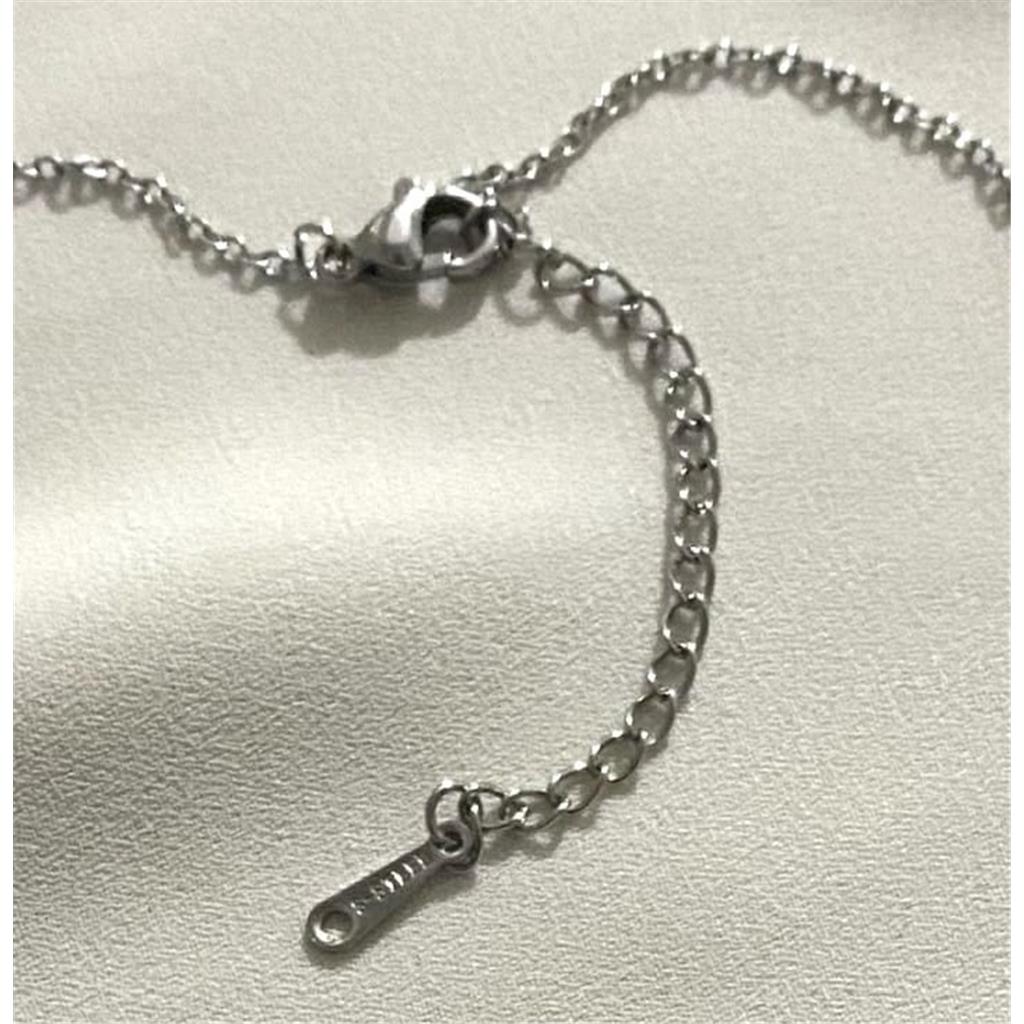 Zeycan Şık Kadın Silver Temalı Gümüş Çelik Kolye